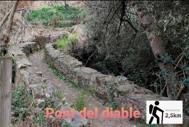 Apartamento En La Costa Del Maresme Pineda de Mar Exteriör bild