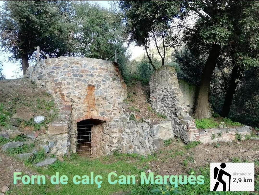 Apartamento En La Costa Del Maresme Pineda de Mar Exteriör bild